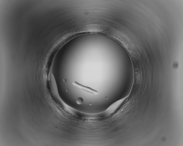 X0000097970350200803241240