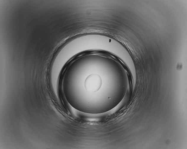X0000097970352200803241240