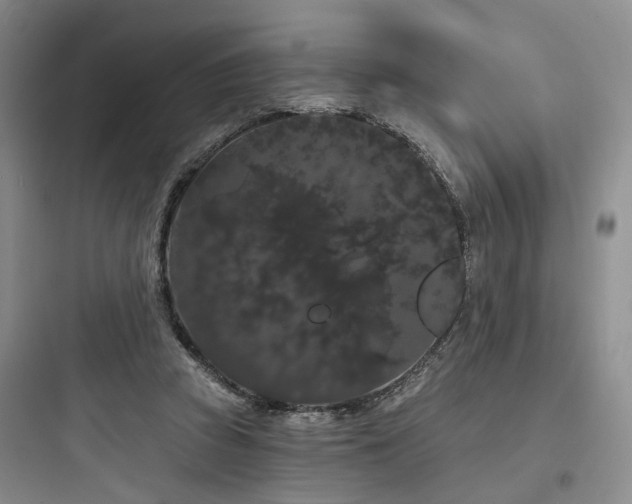 X0000097970353200803241240