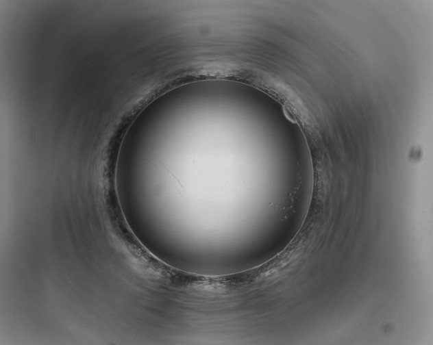 X0000097970354200803241240
