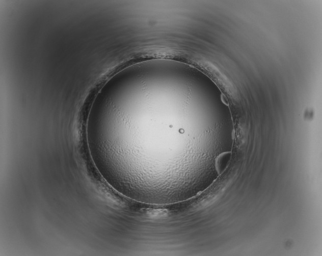 X0000097970355200803241240