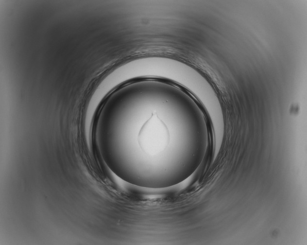X0000097970356200803241240