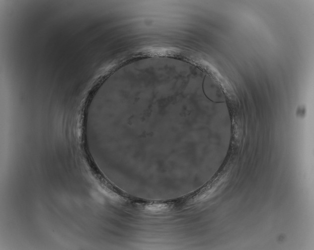 X0000097970357200803241240