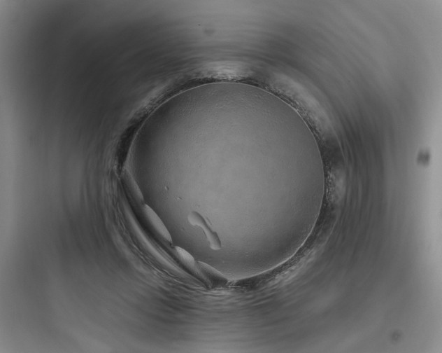 X0000097970358200803241240