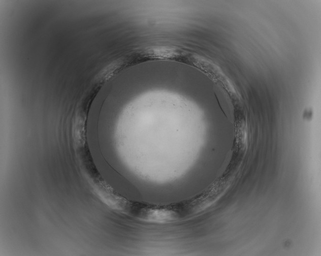 X0000097970360200803241240