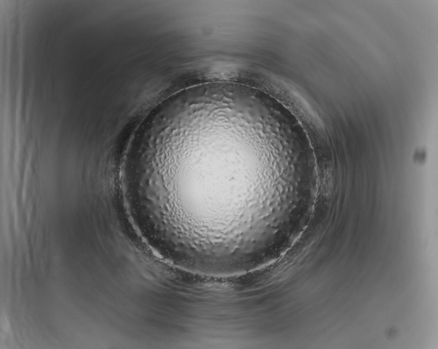 X0000097970363200803241241