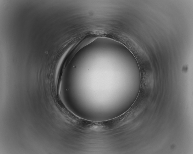 X0000097970364200803241241