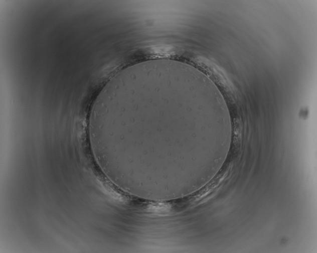 X0000097970369200803241241