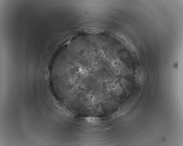 X0000097970371200803241241