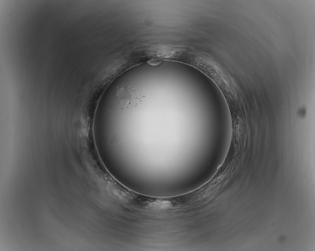 X0000097970374200803241241