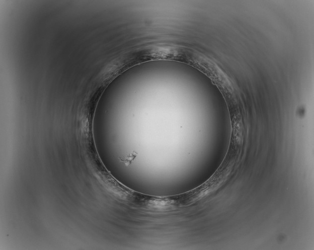X0000097970375200803241241