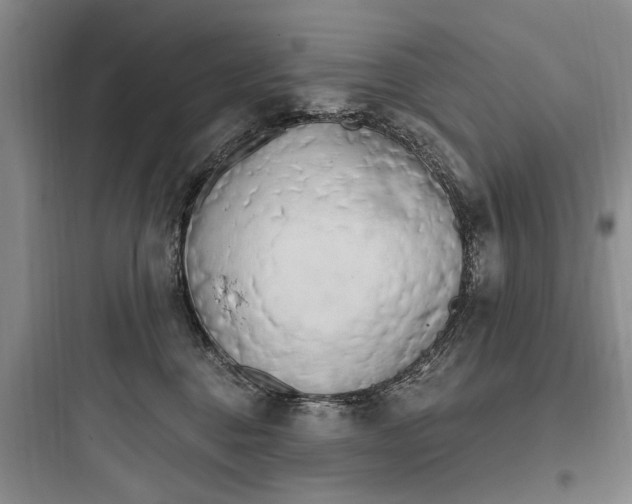 X0000097970376200803241241