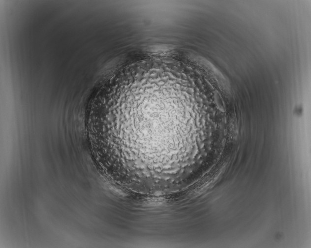 X0000097970377200803241241