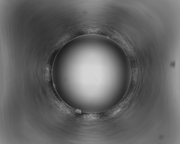 X0000097970378200803241241