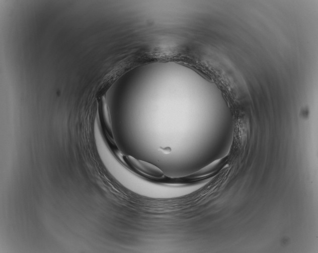 X0000097970380200803241241