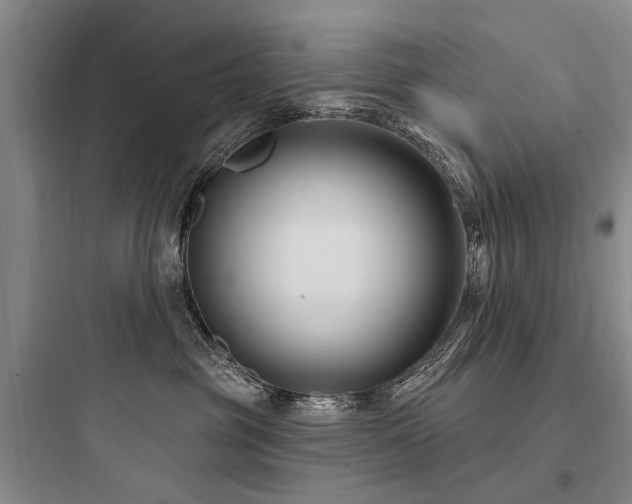 X0000097970381200803241241