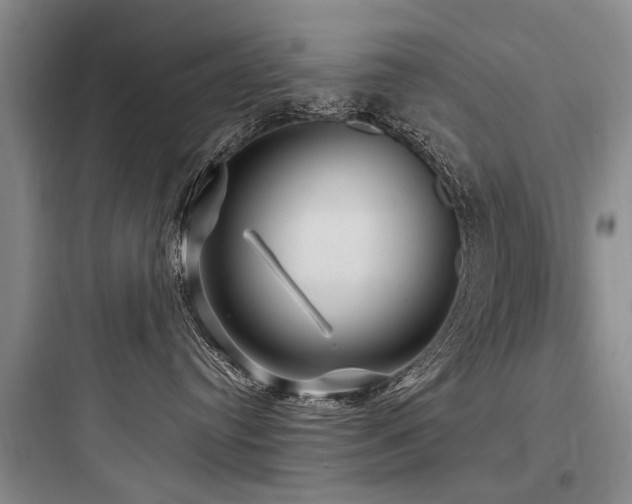 X0000097970384200803241241