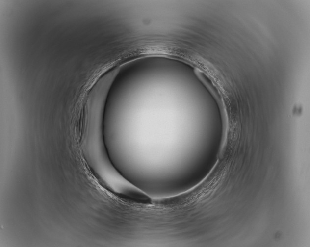 X0000097970385200803241240