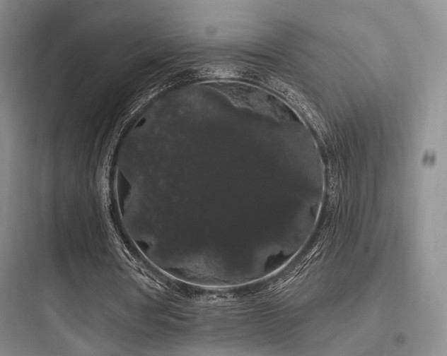 X0000097970386200803241240