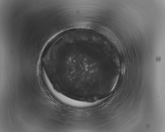 X0000097970388200803241240
