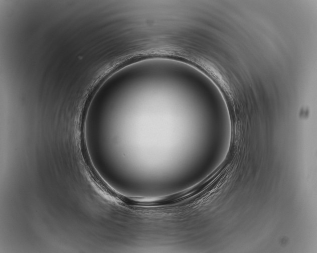 X0000097970389200803241240