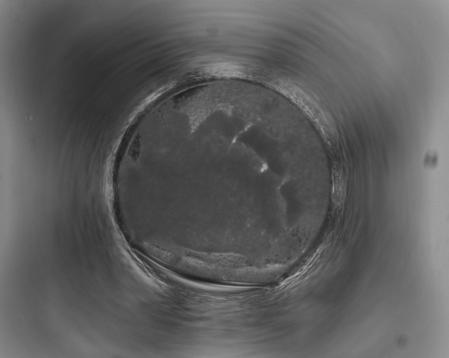 X0000097970390200803241240