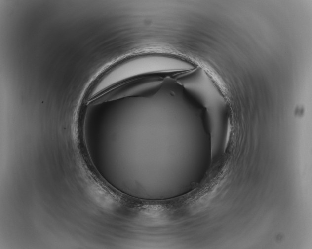 X0000097970391200803241240