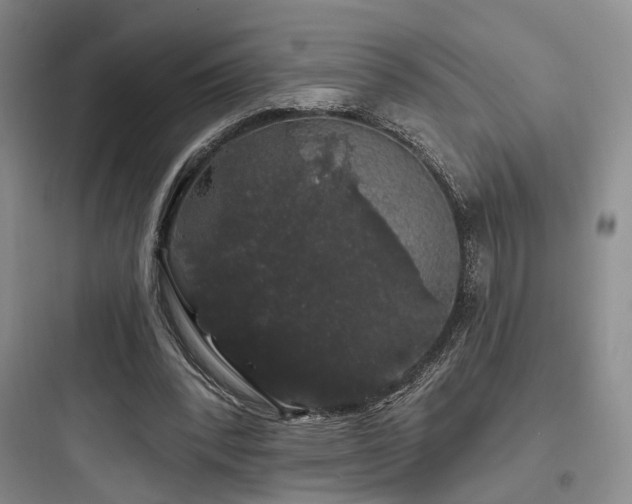 X0000097970392200803241240