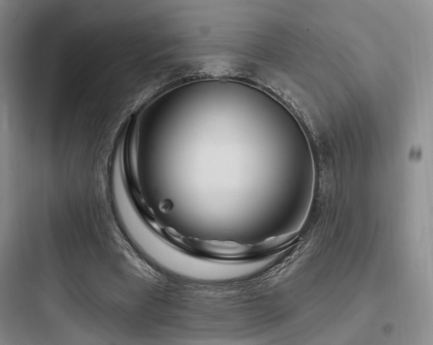X0000097970393200803241240