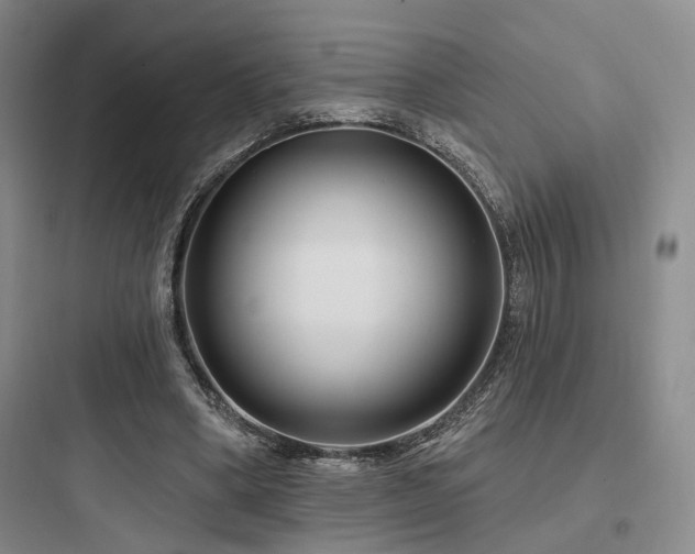 X0000097970394200803241240