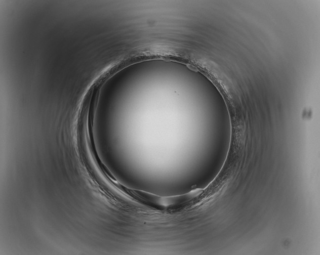 X0000097970395200803241240