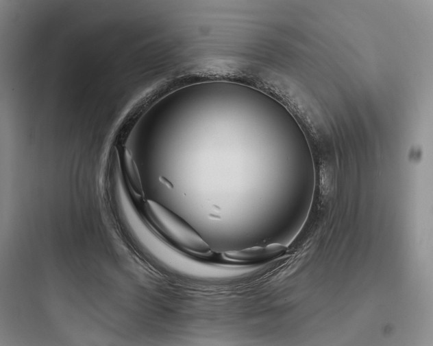 X0000097970396200803241240