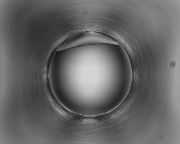 X0000097970397200803241240