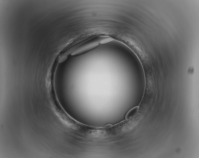X0000097970398200803241240