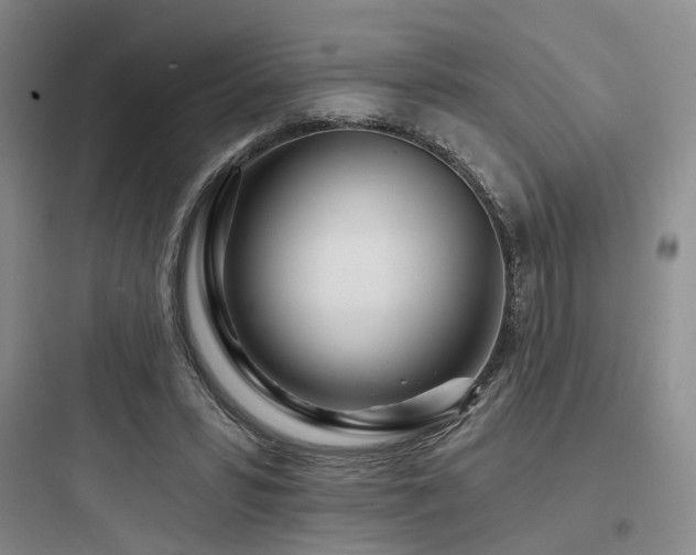 X0000097970399200803241240