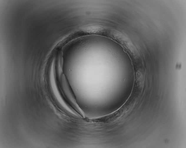 X0000097970400200803241240