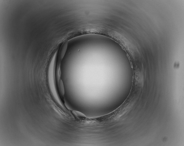 X0000097970401200803241240