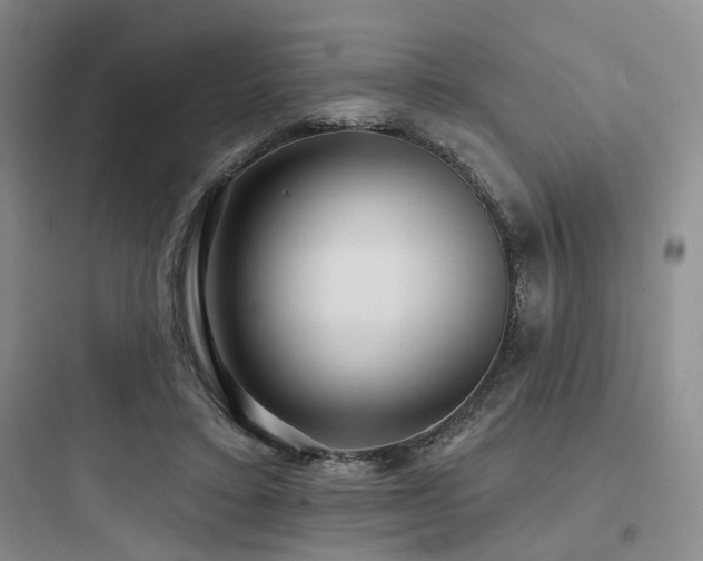 X0000097970403200803241240