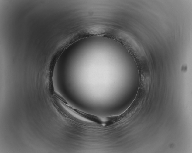 X0000097970404200803241240