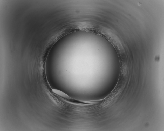 X0000097970405200803241240