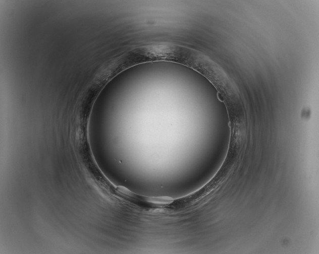X0000097970408200803241240