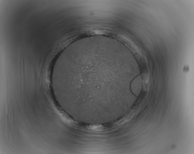 X0000097970410200803241240