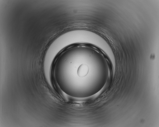 X0000097970411200803241240