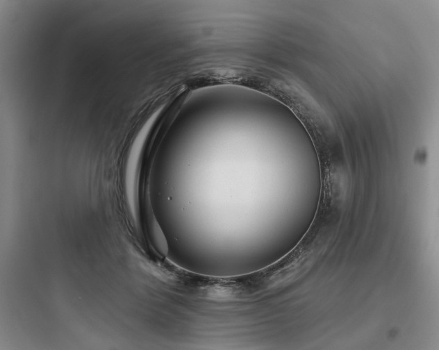X0000097970412200803241240