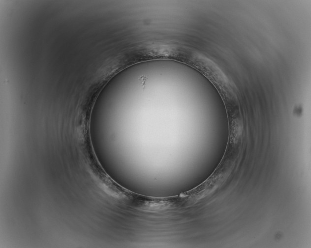 X0000097970414200803241240