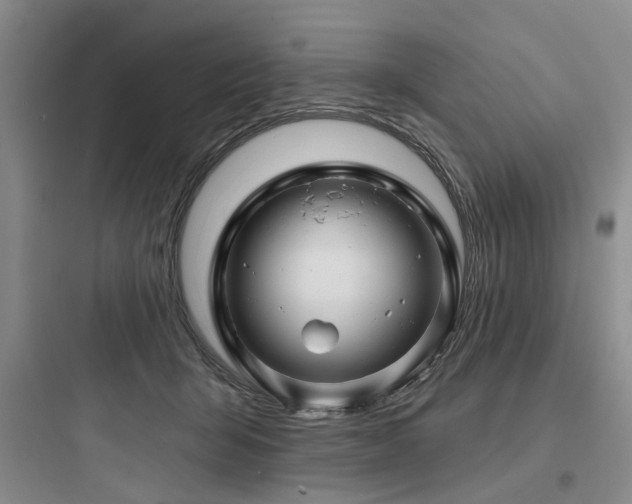 X0000097970415200803241240