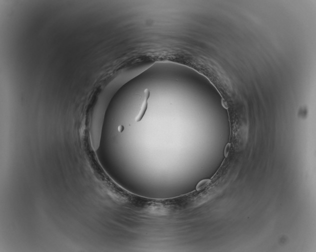 X0000097970416200803241240