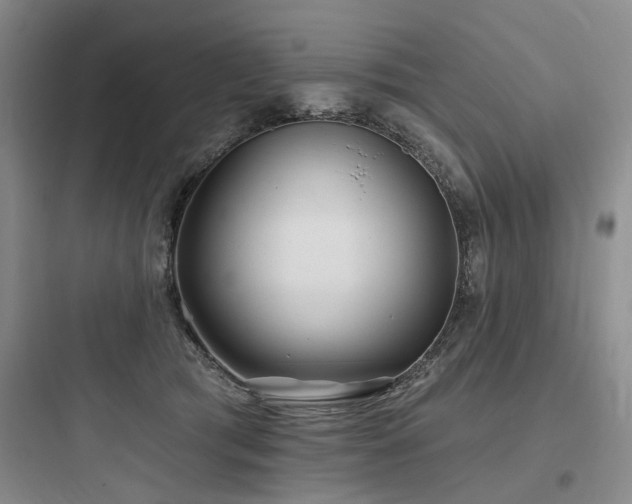 X0000097970417200803241240