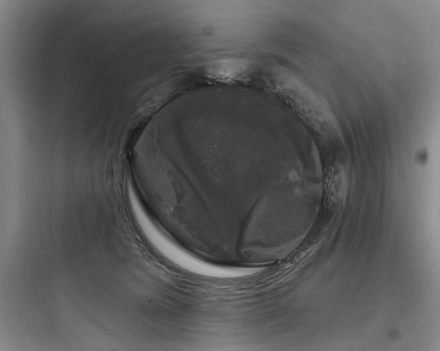 X0000097970420200803241239