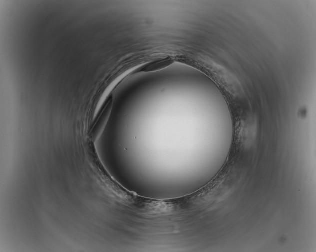X0000097970421200803241239